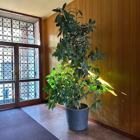 Ponchielli Loft * ベルガモ