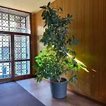 Ponchielli Loft * Bergamo