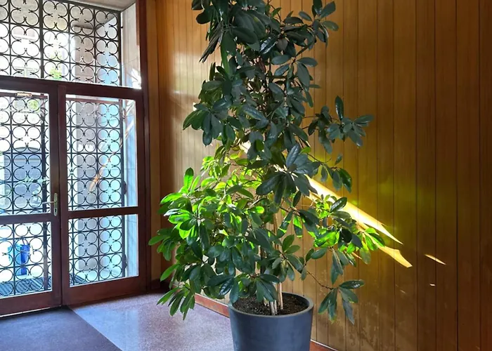 Ponchielli Loft * Bérgamo